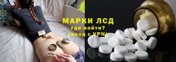 ГАЛЛЮЦИНОГЕННЫЕ ГРИБЫ Баксан