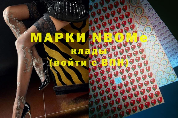 ГАЛЛЮЦИНОГЕННЫЕ ГРИБЫ Баксан
