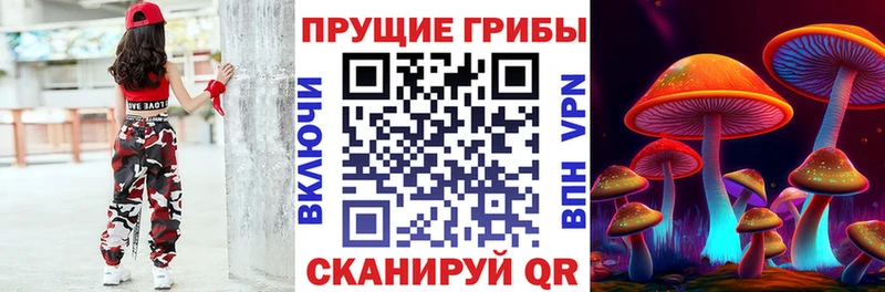 Галлюциногенные грибы Psilocybe  Сасово 